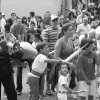 ganaderos19